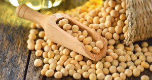 ترامب يحث الصين على زيادة مشترياتها من فول الصويا الأمريكي